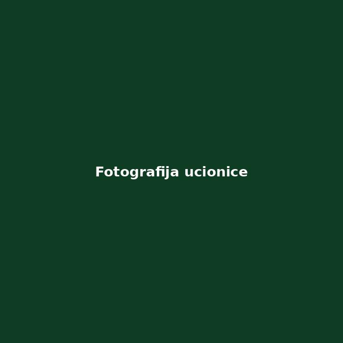 Školsko dvorište